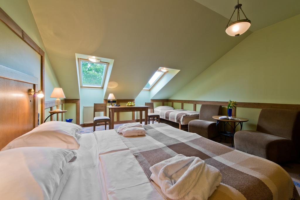 Best Baltic Hotel Druskininkai Central Kamer foto